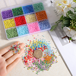 156g 12 Style Glass Seed Beads&nbsp;SEED-SC0001-32A-05