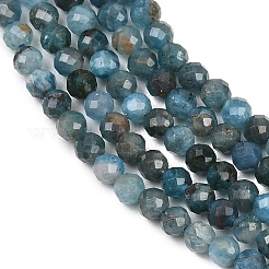 Natural Apatite Beads Strands&nbsp;G-P612-C-3mm-02