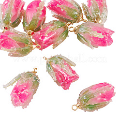 10Pcs Transparent Acrylic Pendants&nbsp;SACR-TA0001-66A