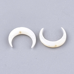 Freshwater Shell Beads&nbsp;SHEL-T012-12