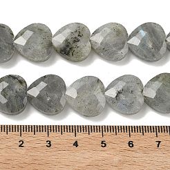Natural Labradorite Beads Strands&nbsp;G-A309-A09-01