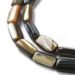 Natural Paua Shell Beads Strands&nbsp;SSHEL-B002-14