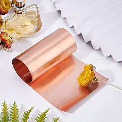 Copper Rolls&nbsp;AJEW-WH0252-54F-01