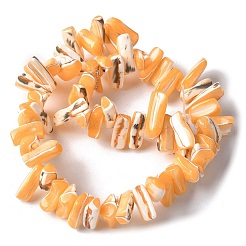 Dyed Natural Trochus Shell Beads Strands&nbsp;SSHEL-C013-09C