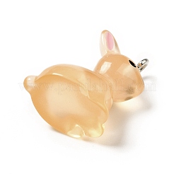 Luminous Translucent Resin Pendants&nbsp;RESI-A017-04