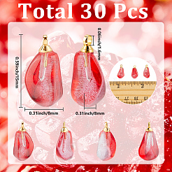 30Pcs Handmade Lampwork Pendants&nbsp;LAMP-SC0001-84