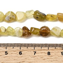 Natural Yellow Opal Beads Strands&nbsp;G-P601-A02-02