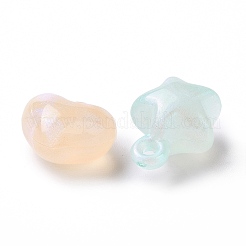 Luminous Acrylic Pendants&nbsp;OACR-E010-15