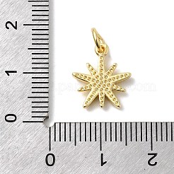 Brass Micro Pave Cubic Zirconia Charms&nbsp;KK-C139-03G