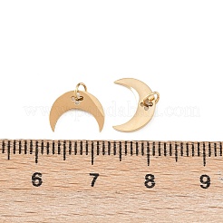 304 Stainless Steel Charms&nbsp;STAS-D390-25G
