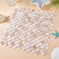 2Pcs Shell Cabochons Sheets&nbsp;AJEW-GO0002-11