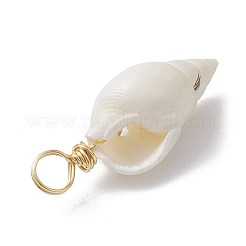 Spiral Shell Pendants&nbsp;PALLOY-JF02492-01