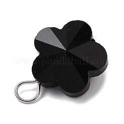 Transparent Glass Pendants&nbsp;PALLOY-JF04099-01