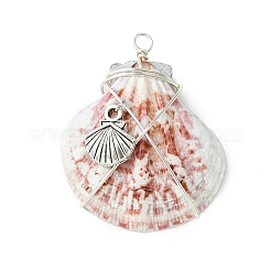 3Pcs Silver Copper Wire Wrapped Natural Scallop Shell Pendants&nbsp;PALLOY-TA00186
