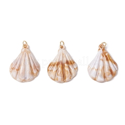 30Pcs 10 Styles Acrylic Pendants&nbsp;PALLOY-JF03989-02