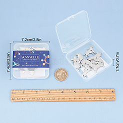 304 Stainless Steel Pendants&nbsp;STAS-SC0001-64P