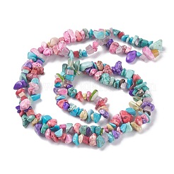 Synthetic Turquoise Beads Strands&nbsp;G-P332-24C