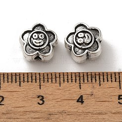 Tibetan Style Alloy Beads&nbsp;PALLOY-P302-12D-AS