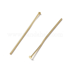 300Pcs 304 Stainless Steel Flat Head Pins&nbsp;STAS-UN0049-19