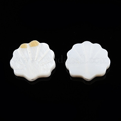 Natural Freshwater Shell Beads&nbsp;SHEL-T007-02