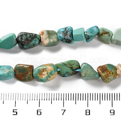Natural Hubei Turquoise Beads Strands&nbsp;G-P497-01C-51