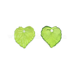 Transparent Acrylic Pendants&nbsp;TACR-T012-05