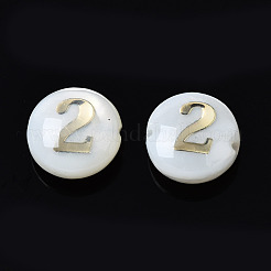 Natural Freshwater Shell Beads&nbsp;SHEL-N003-20-02
