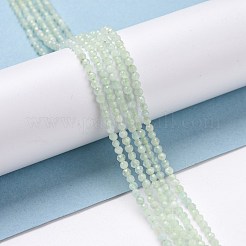 Natural Green Beryl Beads Strands&nbsp;G-D463-03