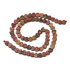 Natural Picasso Stone/Polychrome Jasper Beads Strands&nbsp;G-M403-A58-02