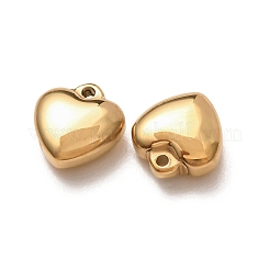 Valentine's Day 304 Stainless Steel Charms&nbsp;SA-G606-01G