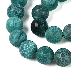 Dyed Natural Agate Beads Strands&nbsp;G-Q606-45A-02