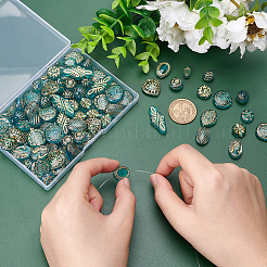 Jewelry Making Finding Kit&nbsp;PACR-PH0001-06