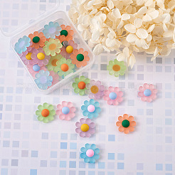 Resin Frosted Cabochons&nbsp;RESI-TA0001-26