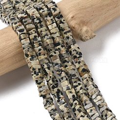 Natural Dalmatian Jasper Beads Strands&nbsp;G-A280-C07-01