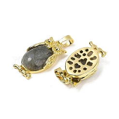 Natural Labradorite Pendant&nbsp;KK-F887-02G-09