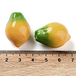 Fruit Opaque Resin Decoden Cabochons&nbsp;RESI-H156-01-05