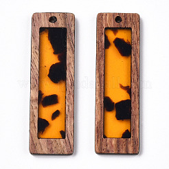 Transparent Resin & Wood Pendants&nbsp;WOOD-TADZ0001-03-01