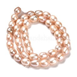 Natural Cultured Freshwater Pearl Beads Strands&nbsp;PEAR-E016-183A-01