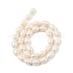 Natural Cultured Freshwater Pearl Beads Strands&nbsp;PEAR-I007-01D-05A-01