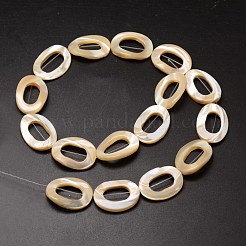 Natural Trochid Shell/Trochus Shell Beads Strands&nbsp;SSHEL-K008-07