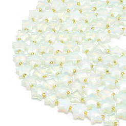 Opalite Beads Strands&nbsp;G-P573-C05-01