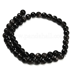 Natural Silver Obsidian Beads Strands&nbsp;G-C280-B08-8mm