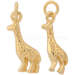 10Pcs Brass Pendants&nbsp;KK-BBC0022-63
