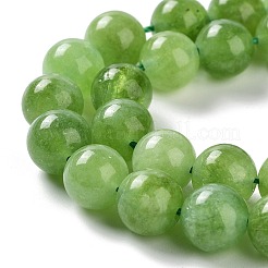 Dyed Natural Malaysia Jade Beads Strands&nbsp;G-G021-02C-04