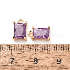 Brass Pave Cubic Zirconia Charms&nbsp;CU-K002-40G-C
