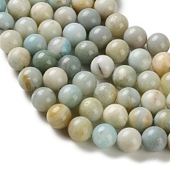 Natural Flower Amazonite Beads Strands&nbsp;G-C284-C01-10mm