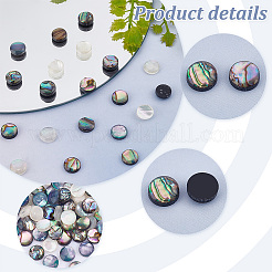 90Pcs 3 Colors Acrylic Imitation Shell Cabochons&nbsp;MACR-PH0001-65B
