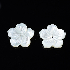 Natural White Shell Mother of Pearl Shell Beads&nbsp;SSHEL-T014-42D