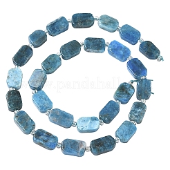 1 Strand Natural Apatite Beads Strands&nbsp;G-YW0002-96
