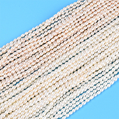 1 Strand Natural Cultured Freshwater Pearl Beads Strands&nbsp;PEAR-PA0001-10